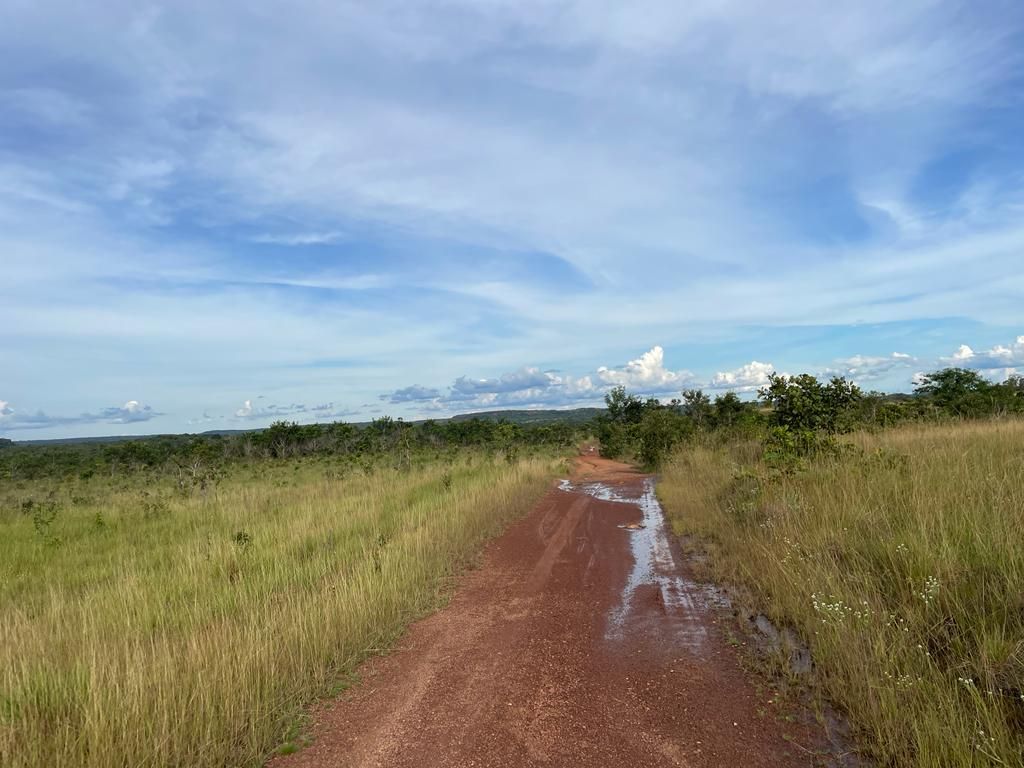 Terreno com 1 Quarto à Venda, Setor Central - Centenário - Terreno em Setor Central, Centenário - à venda - Zilmara Santos LTDA