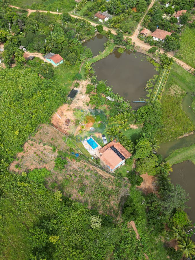 Vida Rural