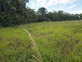 Lote/Terreno, Sertão do Maruim - São José - Lote/Terreno em Sertão do Maruim, São José - à venda - Conceito Imóveis