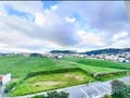 Apartamento com 1 quarto, Fazenda Santo Antônio - São José - Apartamento em Fazenda Santo Antônio, São José - à venda - Conceito Imóveis