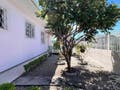 Casa com 3 quartos, Flor de Nápolis - São José - Casa em Flor de Nápolis, São José - à venda - Conceito Imóveis