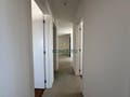 Apartamento com 3 quartos, Areias - São José - Apartamento em Areias, São José - à venda - Conceito Imóveis