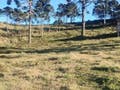 Venda - Terreno - em - Urubici - Lote/Terreno em Urubici - à venda - TK Imóveis