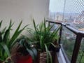 Apartamento com 2 quartos, Barreiros - São José - Apartamento em Barreiros, São José - à venda - Conceito Imóveis