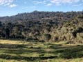 Venda - Terreno - em - Urubici - Lote/Terreno em Urubici - à venda - TK Imóveis