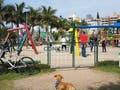 Apartamento com 2 quartos, Coqueiros - Florianópolis - Apartamento em Coqueiros, Florianópolis - à venda - Conceito Imóveis