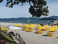 Apartamento com 3 quartos, Canasvieiras - Florianópolis - Apartamento em Canasvieiras, Florianópolis - à venda - Conceito Imóveis