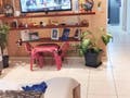 Apartamento com 2 quartos, Areias - São José - Apartamento em Areias, São José - à venda - Conceito Imóveis