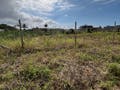 Lote/Terreno de , 405,00 (M²) Terreno - Itajuba, Barra Velha - Cód. 2356 - Lote/Terreno em Itajuba, Barra Velha - à venda - Elita Imobiliária
