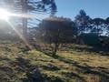 Venda - Terreno - em - Urubici - Lote/Terreno em Urubici - à venda - TK Imóveis