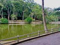 Salas Comerciais, Trindade - Florianópolis - Salas Comerciais em Trindade, Florianópolis - à venda - Conceito Imóveis