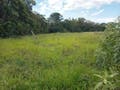 Lote/Terreno, Sertão do Maruim - São José - Lote/Terreno em Sertão do Maruim, São José - à venda - Conceito Imóveis