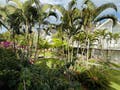 Aluguel Anual - Casa Condomínio Fechado - Praia do Estaleiro - Balneário Camboriú - Casa de Condomínio em Praia do Estaleiro, Balneário Camboriú - para locação - TK Imóveis