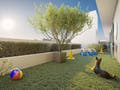 Apartamento com 2 quartos à Venda, Nossa Senhora do Rosário - São José - Apartamento em Nossa Senhora do Rosário, São José - à venda - Conceito Imóveis