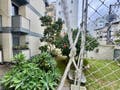 Apartamento à venda em Coqueiros | Reformado, 2 dormitórios e a poucos passos do Parque de Coqueiros e do Centro - Apartamento em Coqueiros, Florianópolis - à venda - Conceito Imóveis