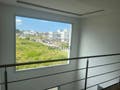 Casa com 3 quartos, Campeche - Florianópolis - Casa em Campeche, Florianópolis - à venda - Conceito Imóveis