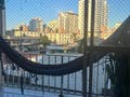Apartamento com 3 quartos à Venda, Kobrasol - São José - Apartamento em Kobrasol, São José - à venda - Conceito Imóveis