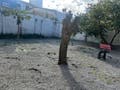Casa com 2 quartos, Flor de Nápolis - São José - Casa em Flor de Nápolis, São José - à venda - Conceito Imóveis