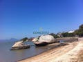 Apartamento com 2 quartos, Coqueiros - Florianópolis - Apartamento em Coqueiros, Florianópolis - à venda - Conceito Imóveis