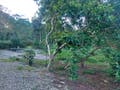 Lote/Terreno de , 1.000,61 (M²) Terreno - Quinta dos Açorianos, Barra Velha - Cód. 1059 - Lote/Terreno em Quinta dos Açorianos, Barra Velha - à venda - Elita Imobiliária