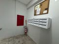 Apartamento Reformado com 3 Dormitórios e 2 Suítes para Alugar em Coqueiros – Florianópolis - Apartamento em Coqueiros, Florianópolis - para locação - Conceito Imóveis