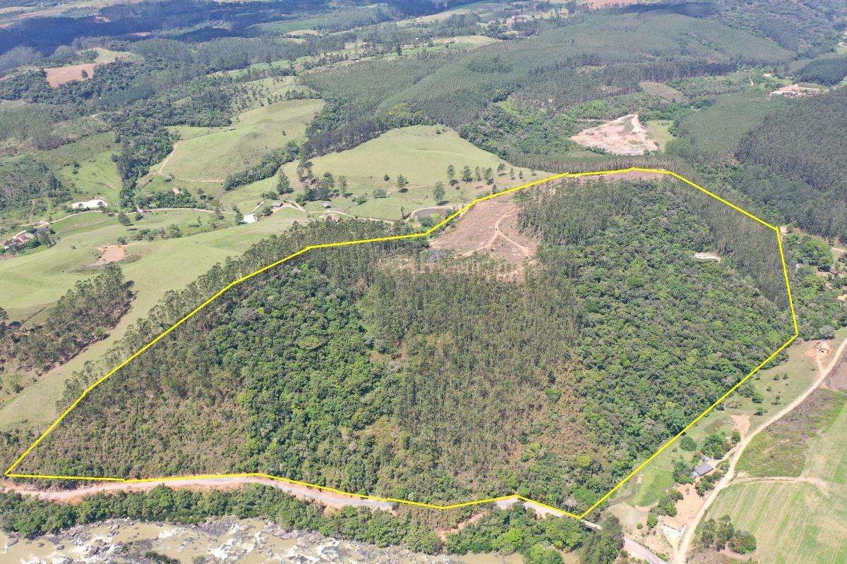 Terreno Rural - Venda - 33 hectares - Investimento - Oportunidade - Localidade Caixa D Água - Atafona - Lontras - Terreno Rural em Atafona, Lontras - à venda - Cifra Imóveis e Empreendimentos Imobiliários