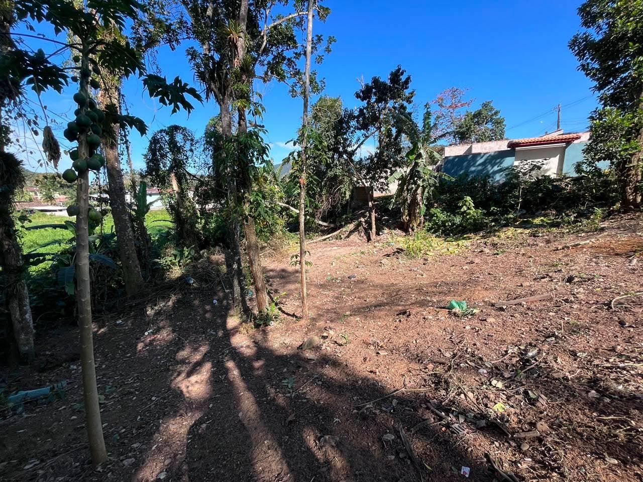 Terreno próximo à Cachoeira - Lote/Terreno em Sertão Da Quina, Ubatuba - à venda - Claudia Mar LTDA