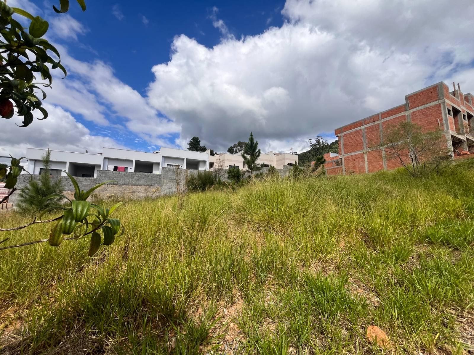 Rua Jose Fronza - Loteamento Lauro Fronza - Bairro Taboão - Lote/Terreno em Taboão, Rio do Sul - à venda - Imobiliária Cimardi LTDA