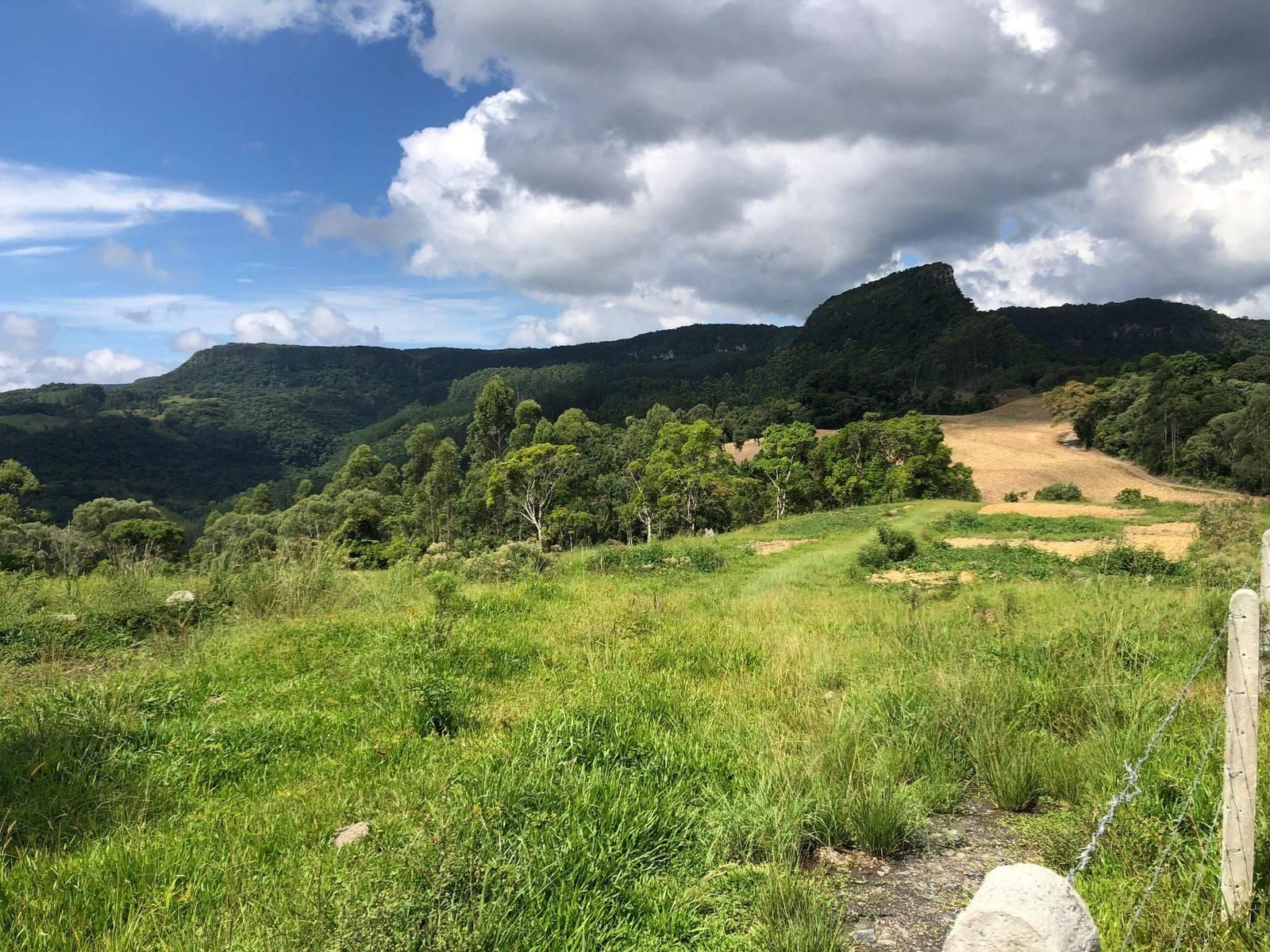 Terreno Rural - Sítio - Venda - 2,7 hectares - 27000m2 - Investimento - Pomerana - Lontras - Terreno Rural em Pomerana, Lontras - à venda - Cifra Imóveis e Empreendimentos Imobiliários