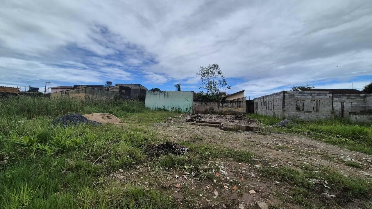 area externa
