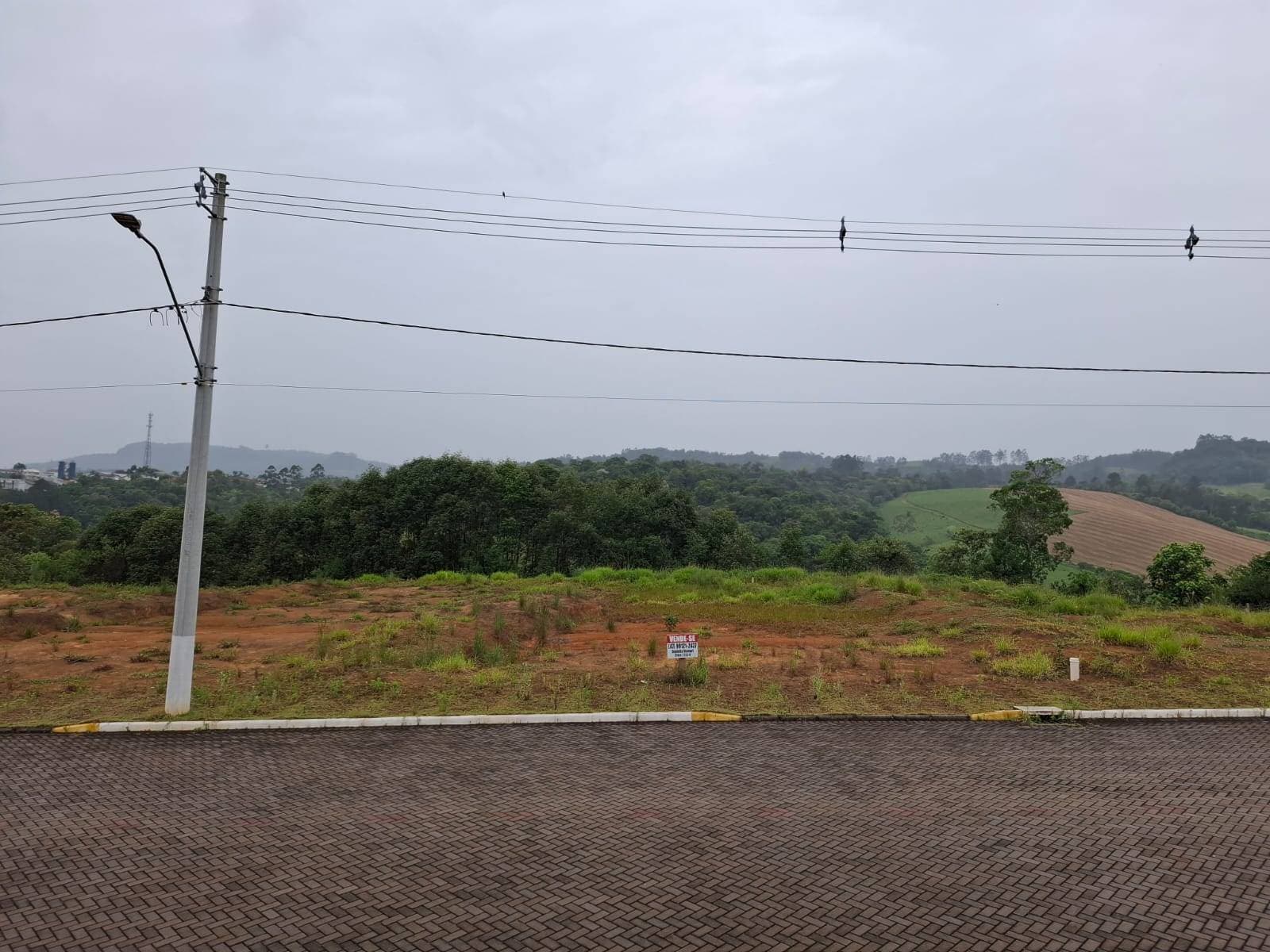 terreno urbano - venda - 396m2 - loteamento parque central - centro - agronômica - Terreno/Lote Urbano em Centro, Agronômica - à venda - Cifra Imóveis e Empreendimentos Imobiliários
