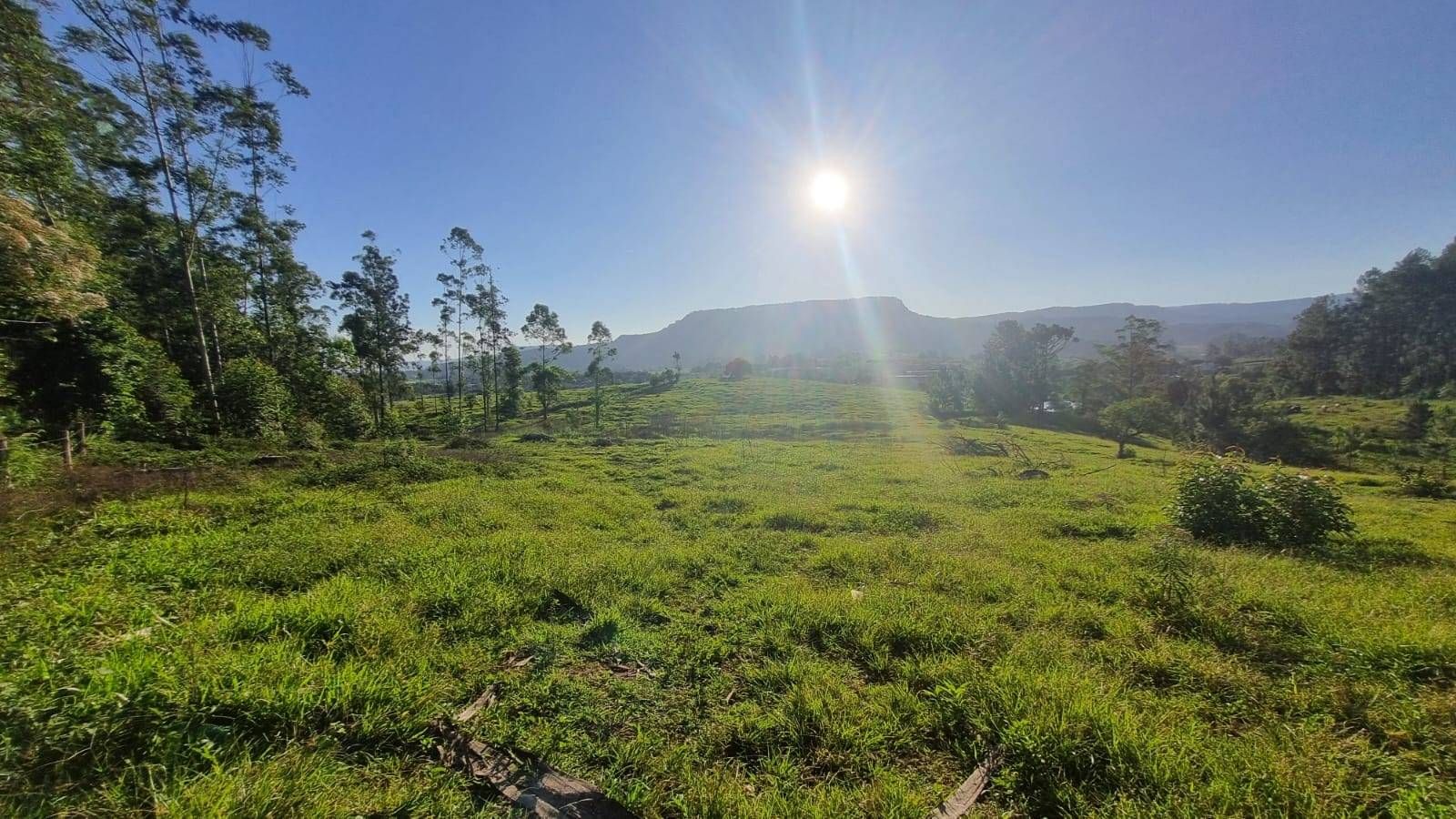 Terreno Urbano - Venda - 2.850 m2 - Investimento - Oportunidade - Riachuelo - Lontras - Terreno/Lote Urbano em Riachuelo, Lontras - à venda - Cifra Imóveis e Empreendimentos Imobiliários