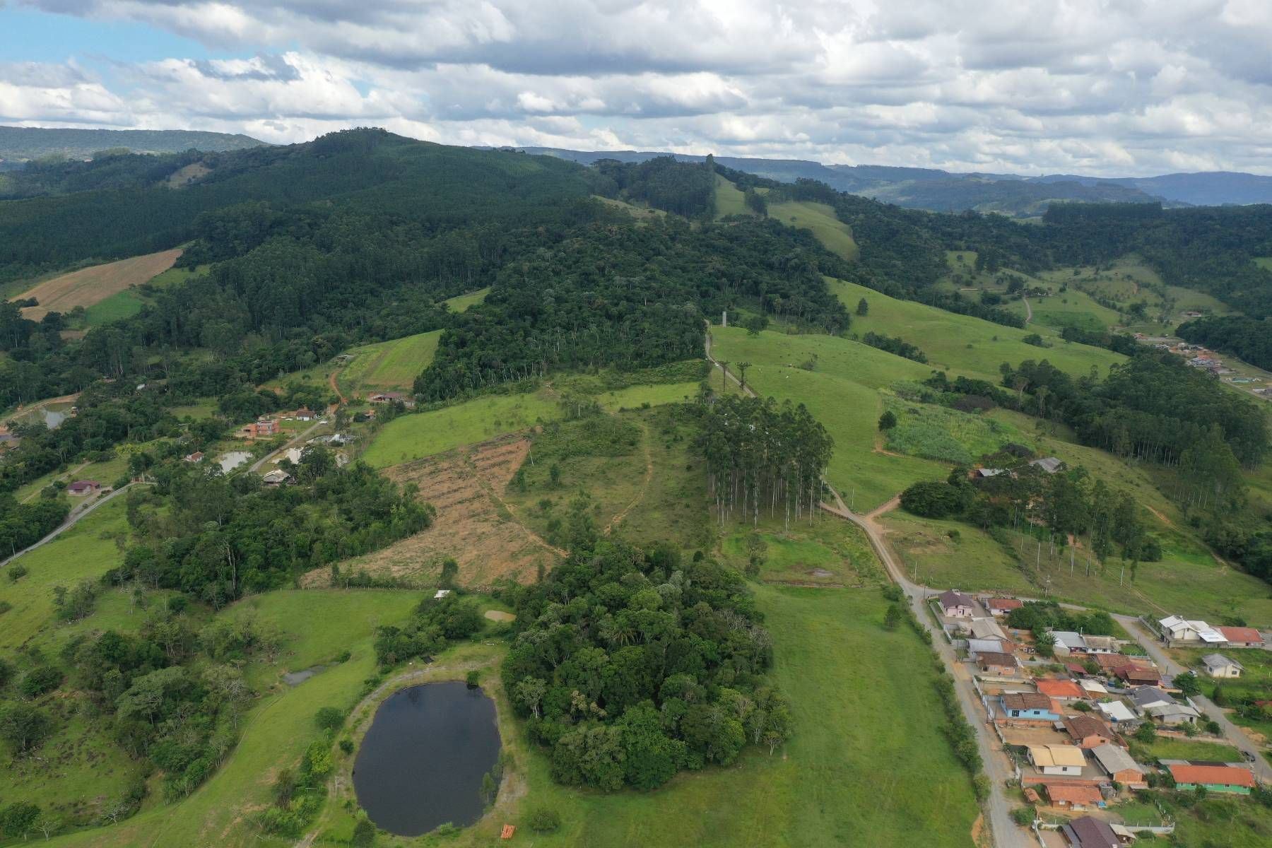 Terreno Urbano - Venda - 8 hectares - Investimento - Oportunidade - Localidade de Riachuelo - Lontras - Terreno/Lote Urbano em Riachuelo, Lontras - à venda - Cifra Imóveis e Empreendimentos Imobiliários