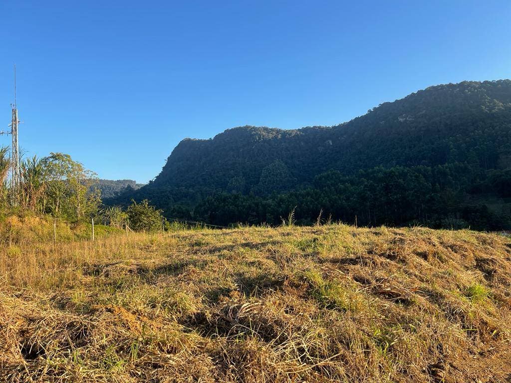 Terreno Rural - Venda - Terreno Urbano - 1.800m2 - Rodovia Lauro Pamplona - Valada Itoupava - Rio do Sul - Terreno Rural em Valada Itoupava, Rio do Sul - à venda - Cifra Imóveis e Empreendimentos Imobiliários