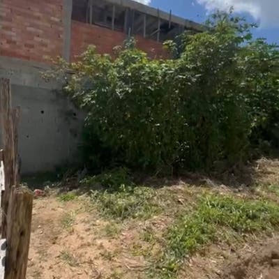 Lote/Terreno - Lote/Terreno em Jardim São Bernardino, Suzano - à venda - Primus Negócios Imobiliários LTDA