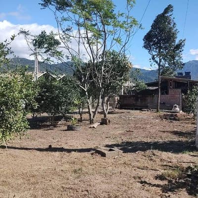 THR7994 - Excelente terreno, Enseada do Brito, Palhoça/SC. - Lote/Terreno em Enseada do Brito (Ens Brito), Palhoça - à venda - THR IMÓVEIS LTDA