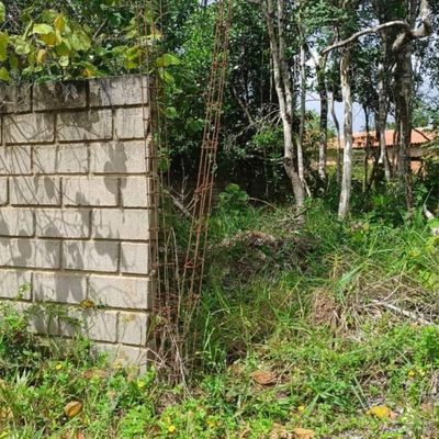 Excelente lote residencial, parcialmente murado - Lote/Terreno em Arraial d´Ajuda, Porto Seguro - à venda - Ramos Arraial