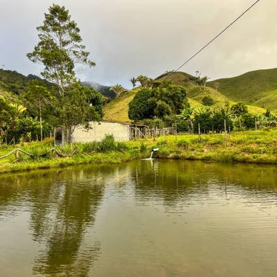 Terrenos excepcionais com pasto formado, vista para o mar, nascente e córregos - OPORTUNIDADE - Terreno em Zona rural, Alfredo Chaves - à venda - Majoris Imóveis Ltda
