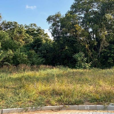 Terreno | Centro Norte (Schroeder) | 330m² - Lote/Terreno em Centro Norte, Schroeder - à venda - MACROimoveis.com