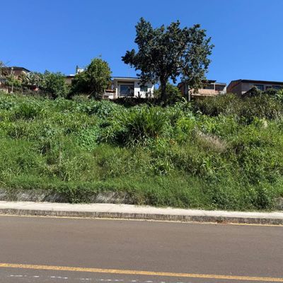 Área de vegetação com casas ao fundo sob céu claro.