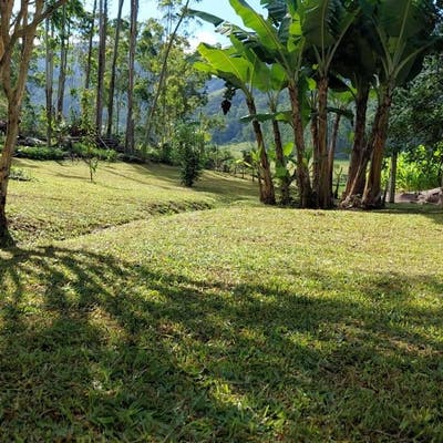 🌿 VENDE-SE SÍTIO COMPLETO – CONFORTO, LAZER E TRANQUILIDADE! 🌿 - Sítio - à venda - GJ Imóveis LTDA