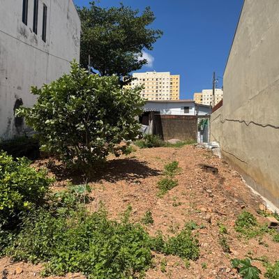 Lote/Terreno, Jardim Cura D'Ars - Campinas - Lote/Terreno em Jardim Cura D'Ars, Campinas - à venda - Terra Vale Negócios Imobiliários