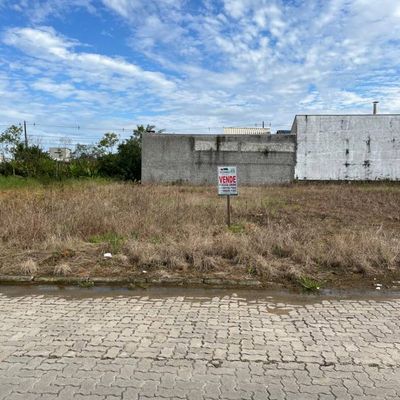 Lote/Terreno à Venda, Centro - Ilhota - Lote/Terreno em Centro, Ilhota - à venda - Tomio Imoveis Ltda
