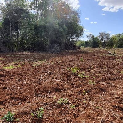Chácara de 4 Alqueires à Venda , Rio Verde-GO na GO 333 - Chácara em ZONA RURAL, Rio Verde - à venda - Grupo Realize