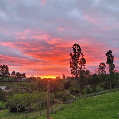 Sítio Rural 3 Hectares - Aurora - Localidade São Martinho - Sítio em Aurora - à venda - Imobiliária Granvale