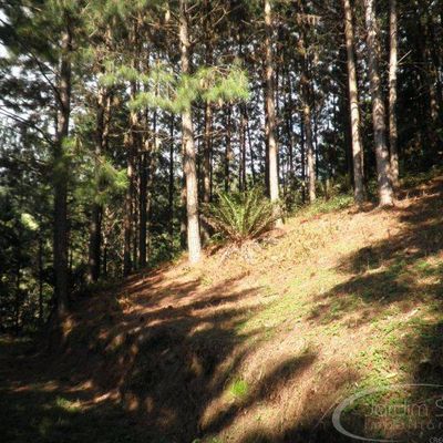 Terreno Urbano - Terrenos em Sumaré, Rio do Sul - à venda - Jardim Sul Imobiliária