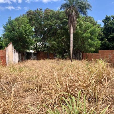 Excelente lote a venda em localização privilegiada no Bairro Vila Carlota em Campo Grande. - Lote/Terreno em Vila Morumbi, Campo Grande - à venda - Santa Fe Imóveis