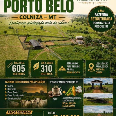 Faz à Venda C/ 605ha - Argila Acima 45% - Colniza MT - Fazenda em Zona Rural, Colniza - à venda - HC NEGÓCIOS IMOBILIÁRIOS