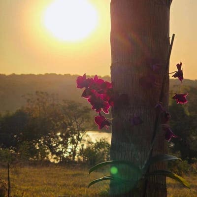 Chácara à Venda Aparecida do Rio Doce - Chácara em ZONA RURAL, Aparecida do Rio Doce - à venda - Grupo Realize