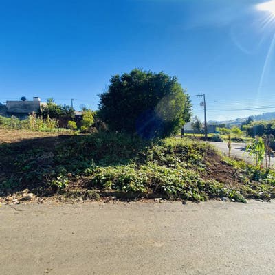 Lote/Terreno, Flor - Xaxim - Lote/Terreno em Flor, Xaxim - à venda - Tissiani Imóveis LTDA